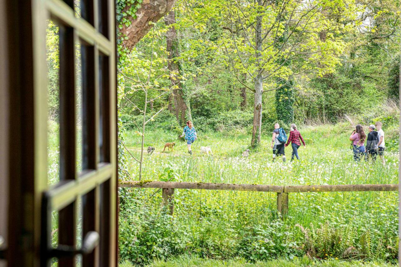Maison de charme à proximité de Pau - 3 chambres - 6 p - Jardin Sendets  Extérieur photo